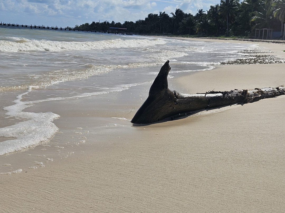 Santi Tour-普拉亚德尔卡曼必去景点
