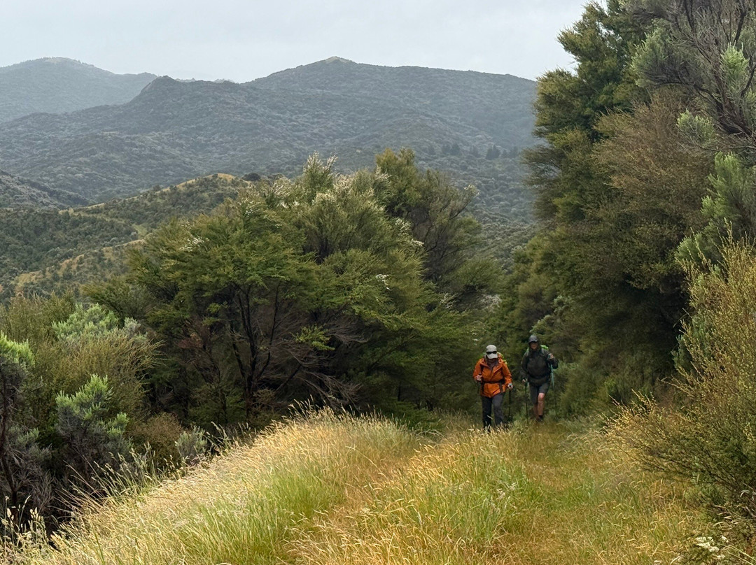 Tora Coastal Walk-马丁堡必去景点