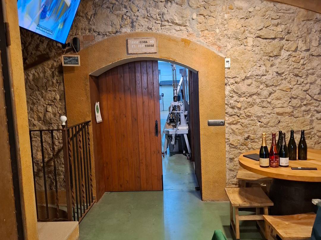 Cava Sola Raventos-桑特萨杜尔尼达诺亚必去景点