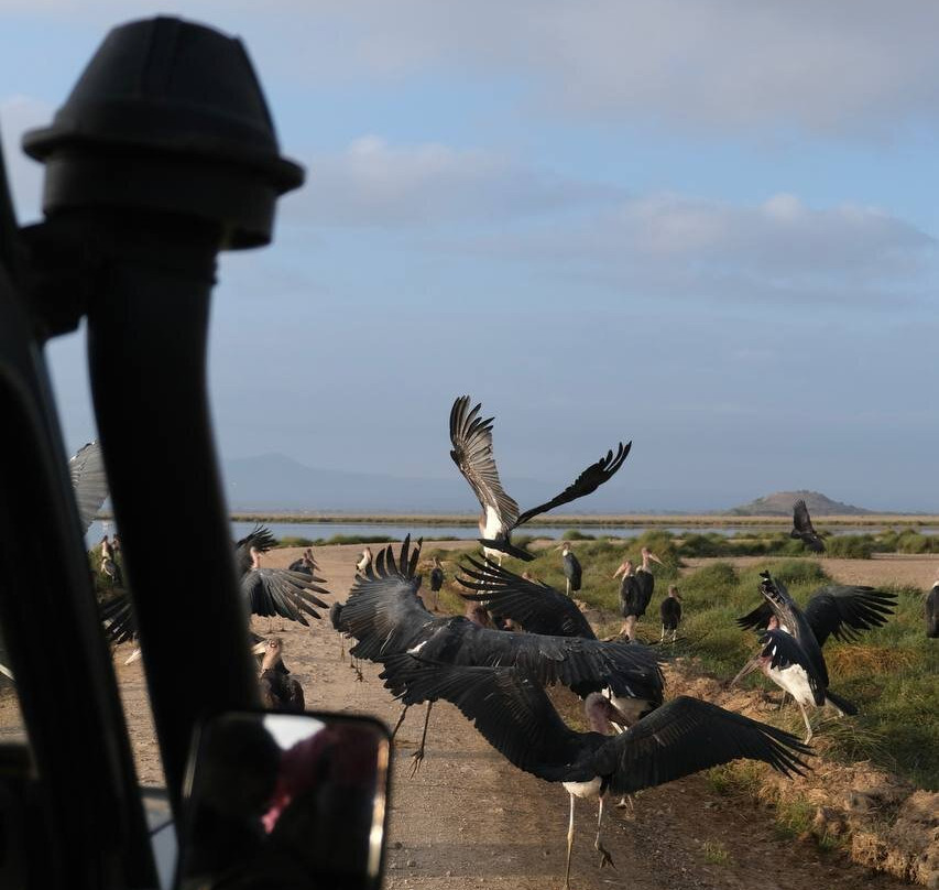 Mufasa Tours and Travels-内罗毕必去景点