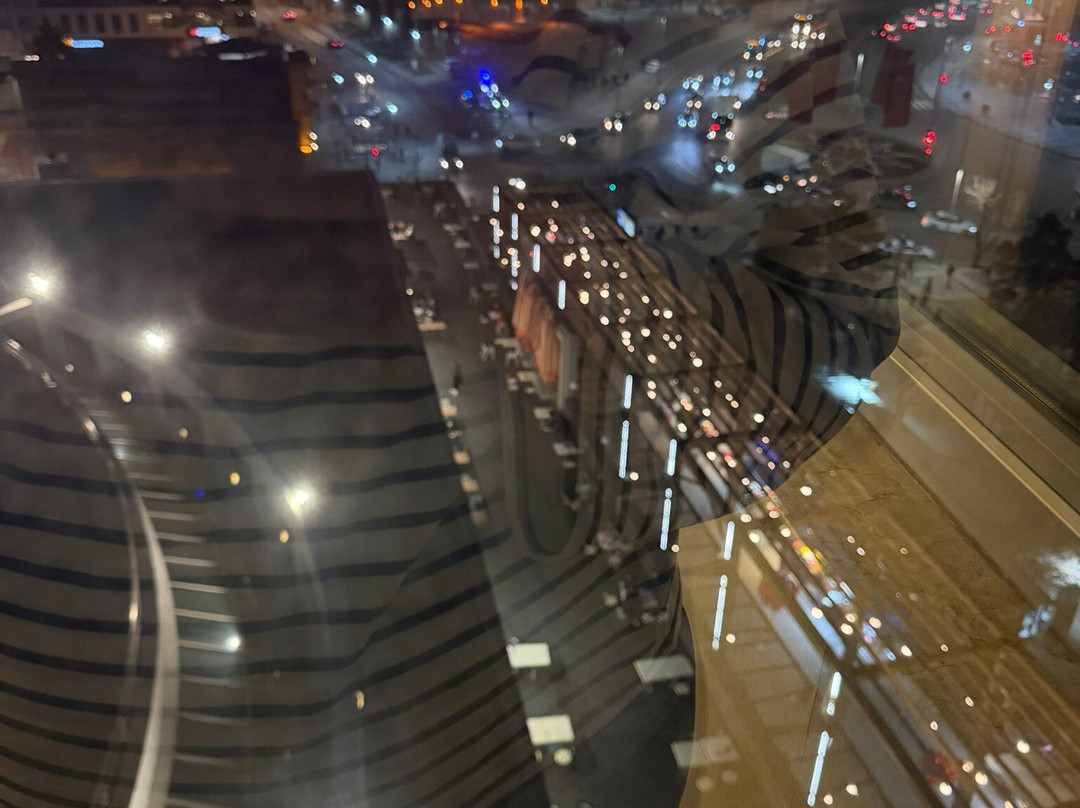 塞利希尔顿酒店主图