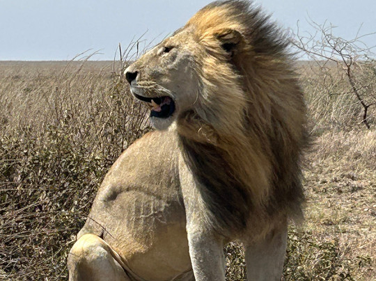 Keei Gee Mountain Expeditions-Naro Moru必去景点