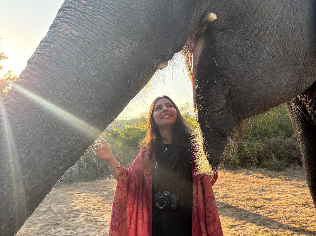 Elefanjoy Elephant Sanctuary-斋蒲尔必去景点