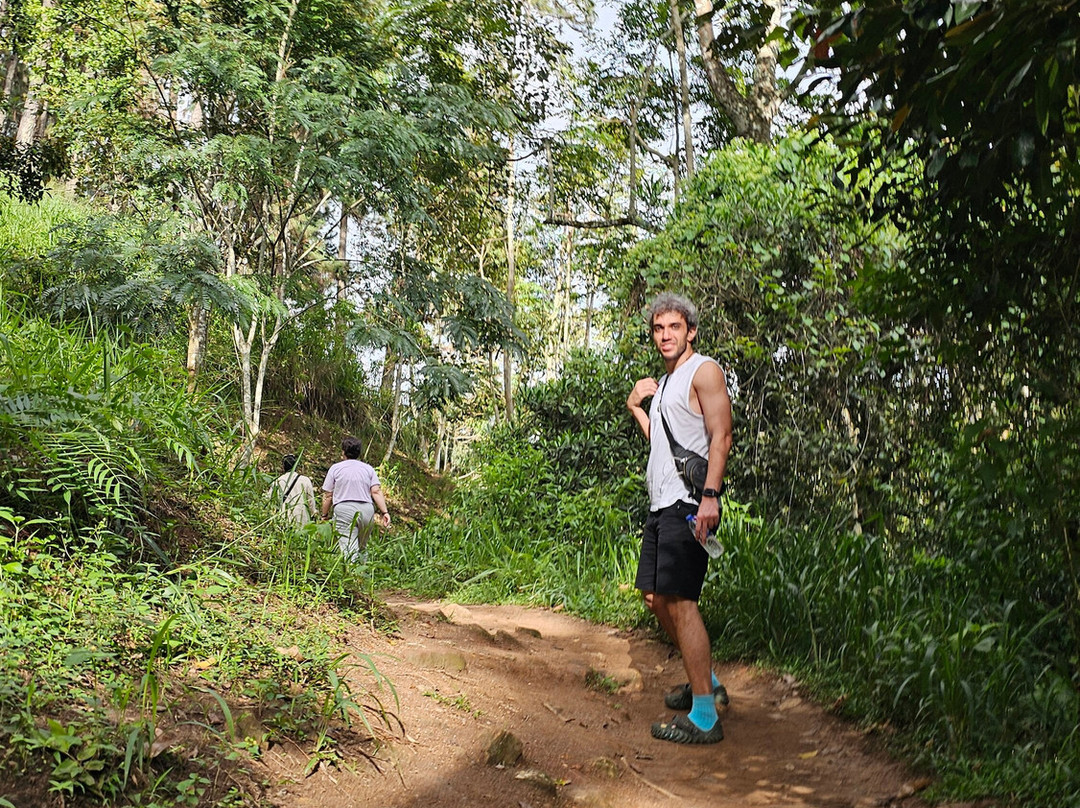 Travelers Choice To Ceylon-科伦坡必去景点