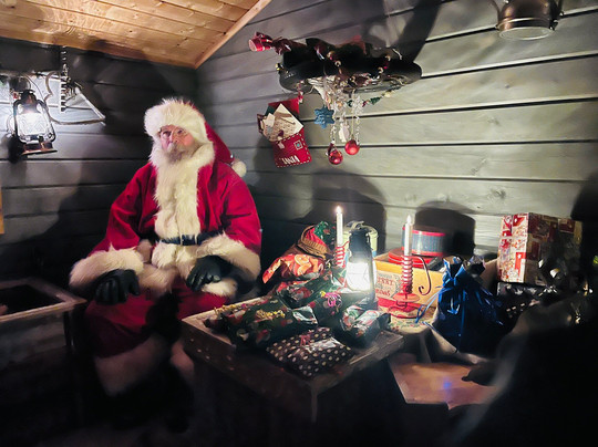 Santa's Winter Village