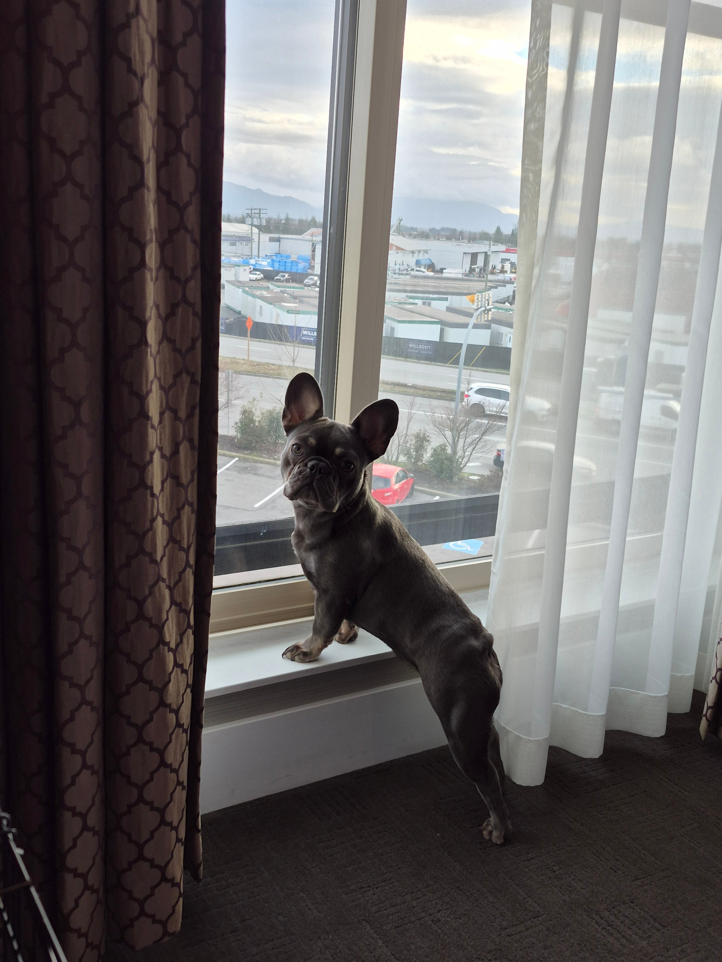 Sandman Hotel Abbotsford Airport-客卧