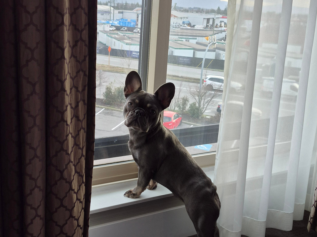 Sandman Hotel Abbotsford Airport主图