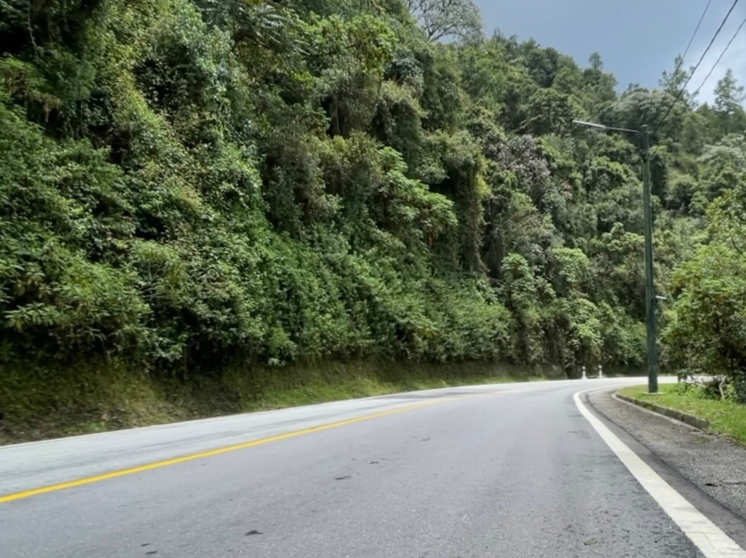 Nyungwe National Park - Rwanda-Western Province必去景点