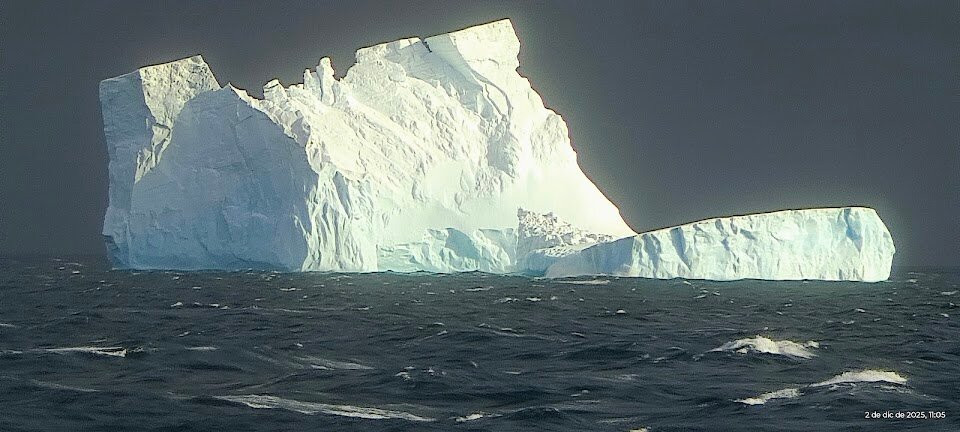 The Polar Travel Company-Cuverville Island必去景点