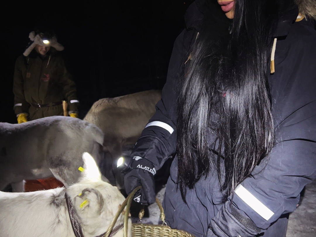 Lupland Adventures-Ranua必去景点