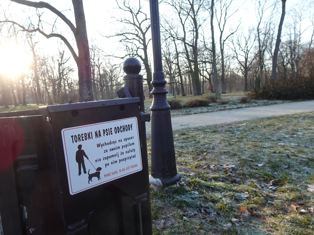 Park Miejski W Skierniewicach-Skierniewice必去景点