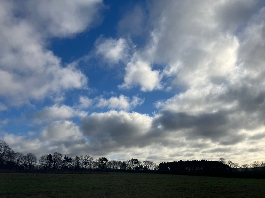 Ightham Mote Estate Walking Trails-Ightham必去景点