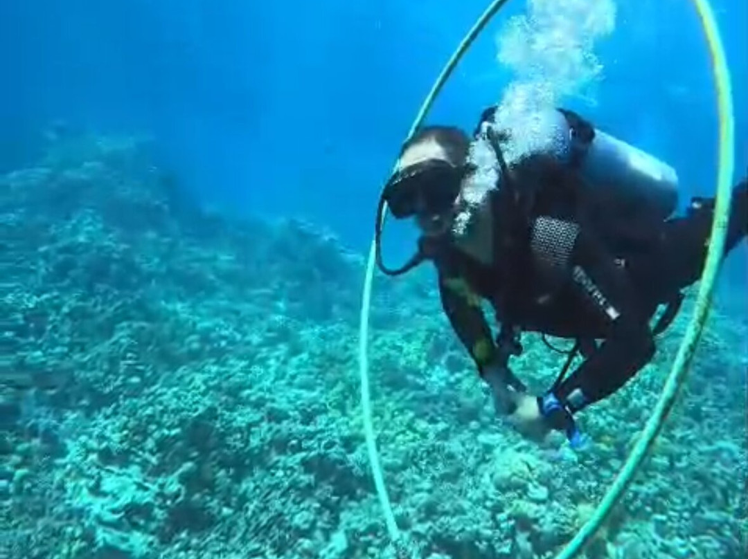 ORCA Dive Club Soma Bay-索马湾必去景点