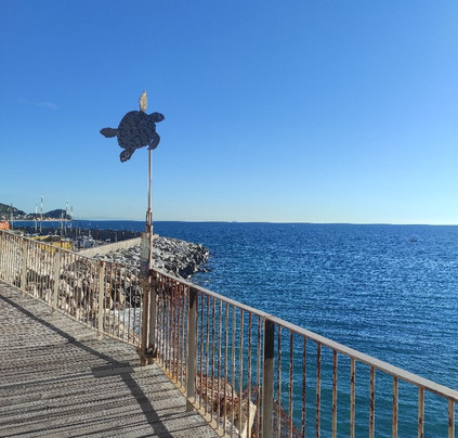 Passeggiata dei Cetacei-菲纳莱利古雷必去景点