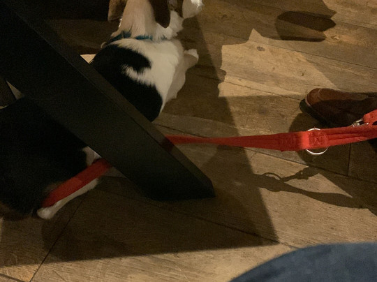 布里埃尔菲尔德酒店主图