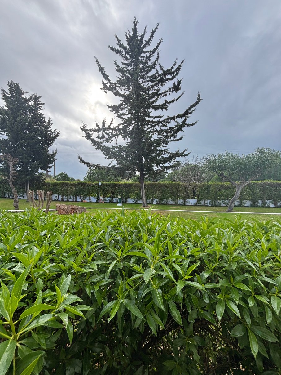 Pinhal do Sol Hotel-官方