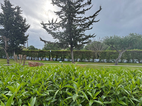 Pinhal do Sol Hotel主图