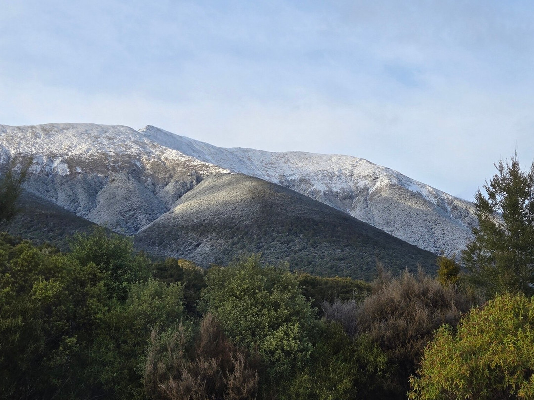 Nelson Lakes Homestay主图