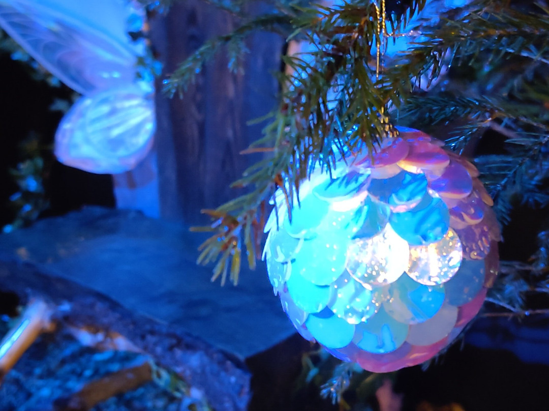 Kolmården Zoo-Kolmarden必去景点