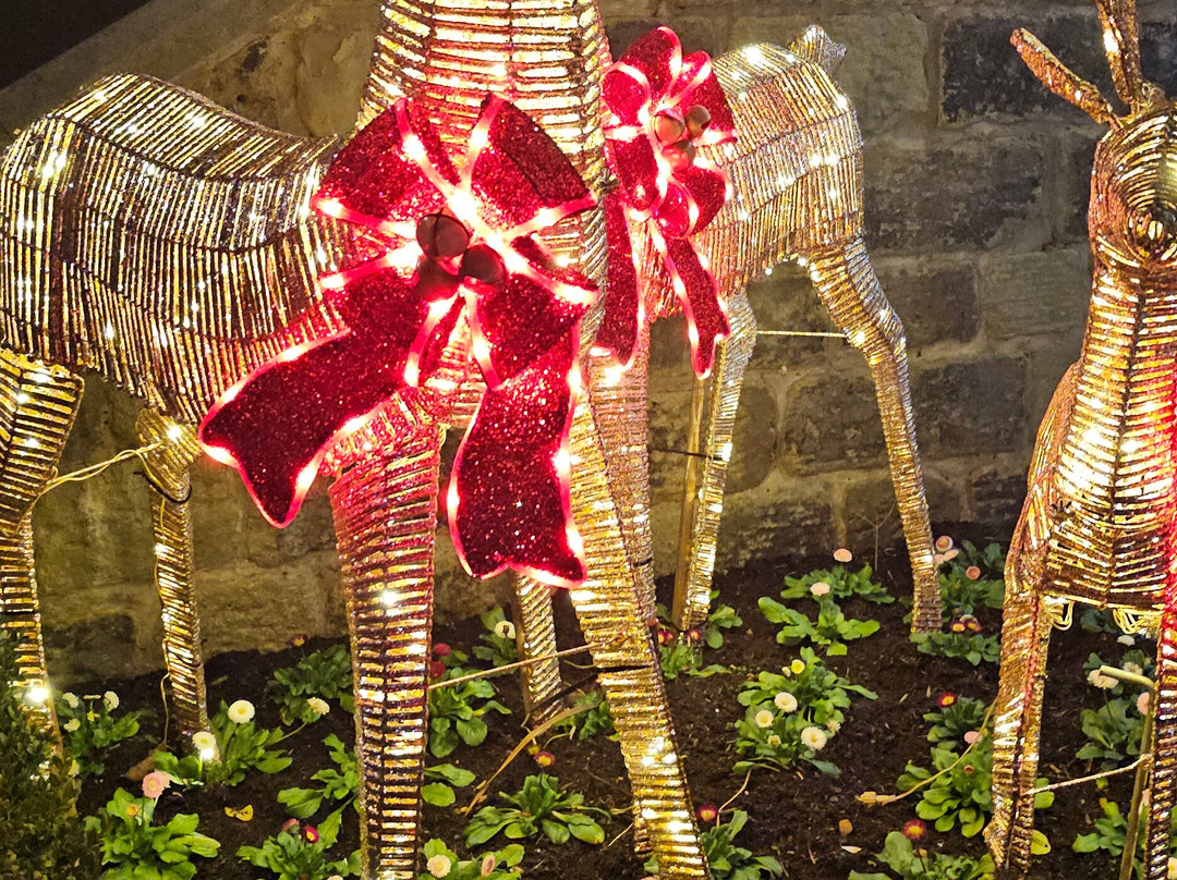 摩尔莉哈耶斯酒店主图