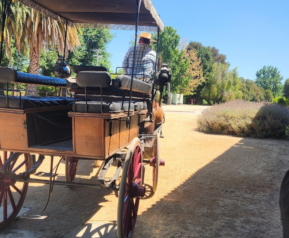 Viu Manent-圣克鲁斯必去景点