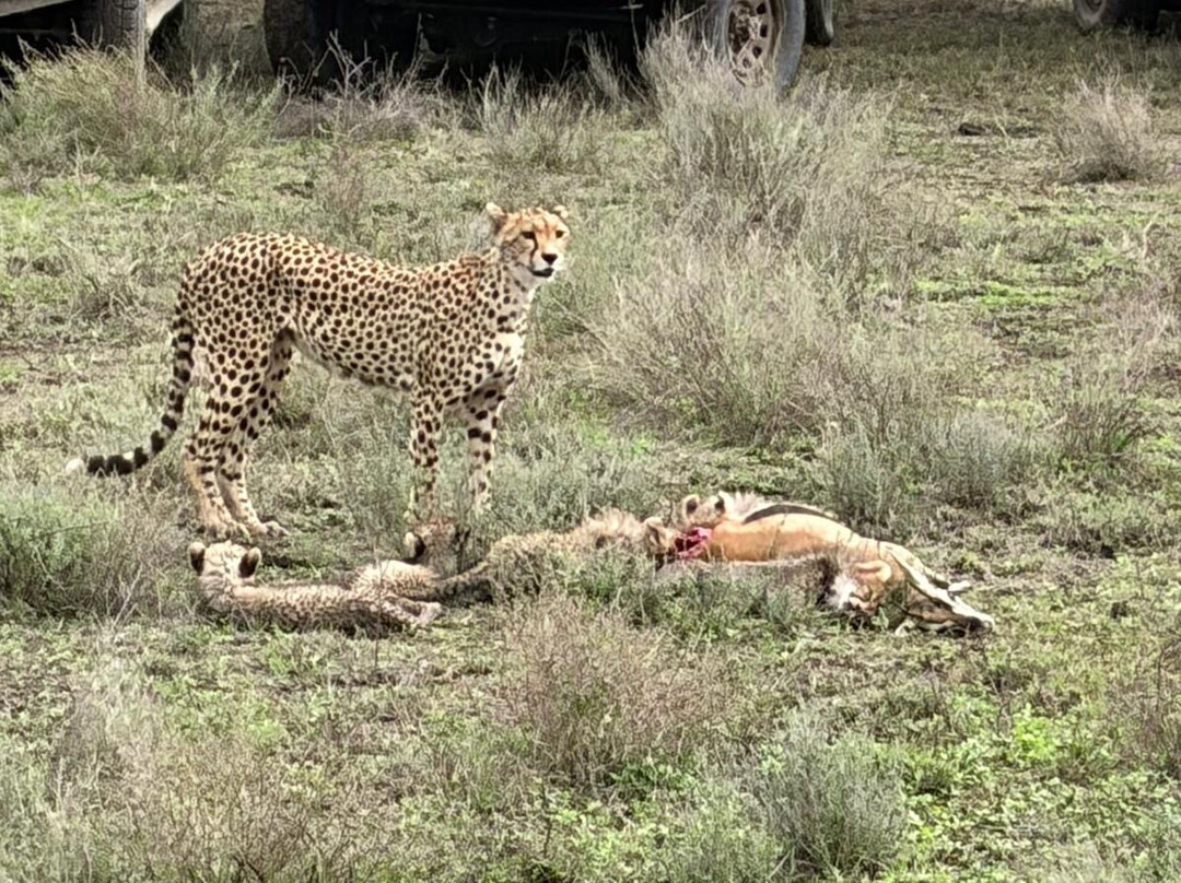 Earthlife Expeditions-阿鲁沙必去景点