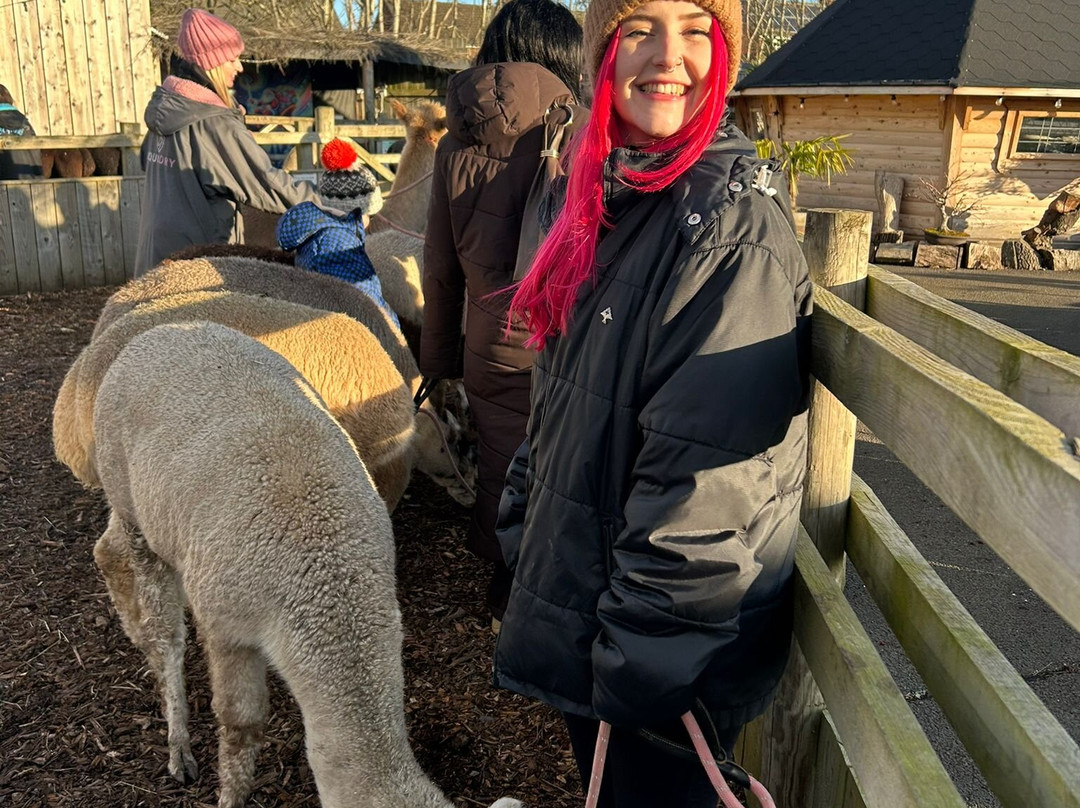 Nanny Sharon's Alpaca Farm C.I.C-Prenton必去景点