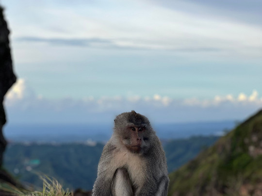 Batur Sunrise Experience-Central Batur必去景点