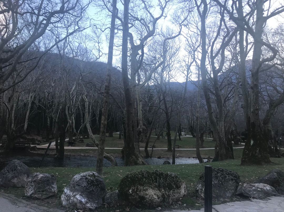 Nisi Margaritas Hotel主图