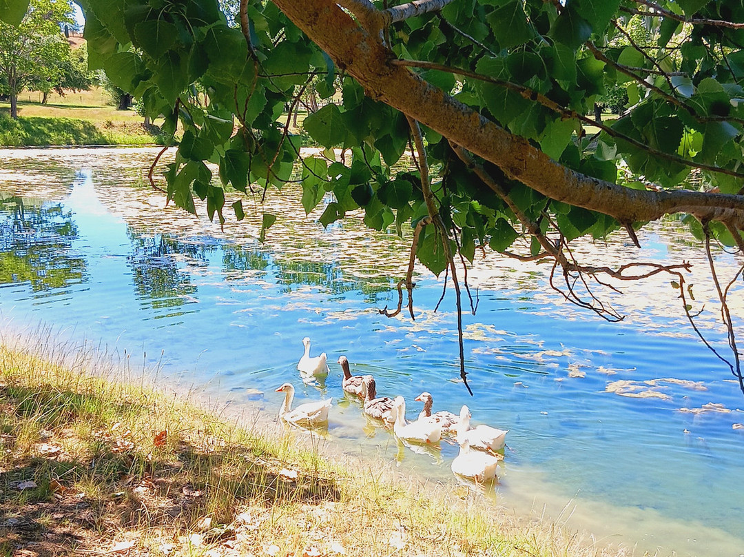 Around And About-威廉斯镇必去景点
