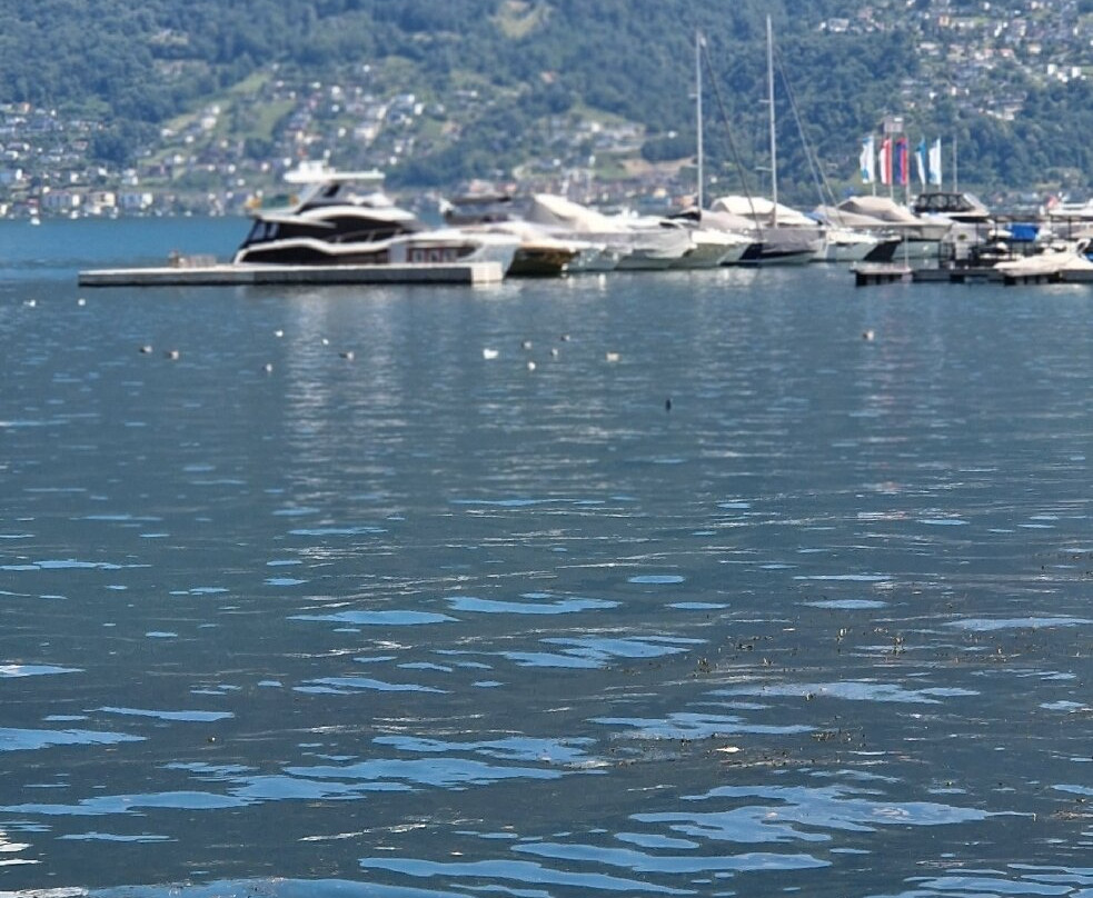 Hotel Millennium主图