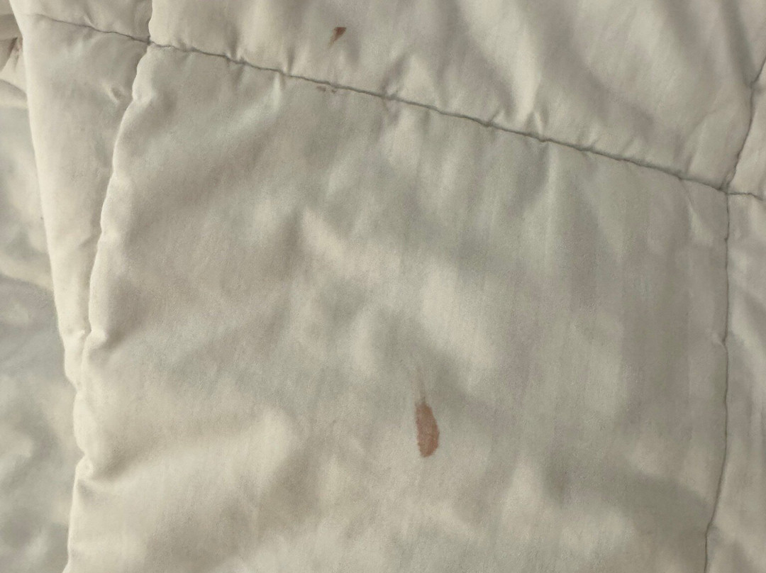 Courtyard Wayne Fairfield主图