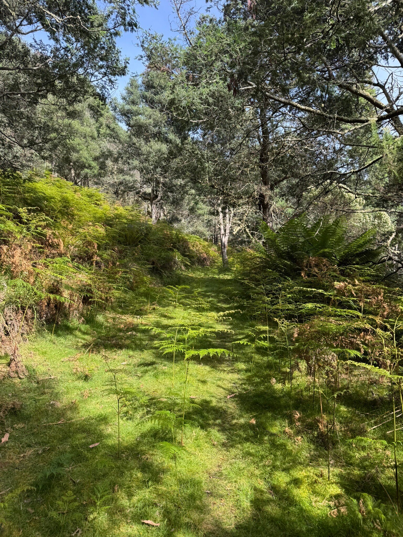 Tarraleah Cottages and Cabins-官方