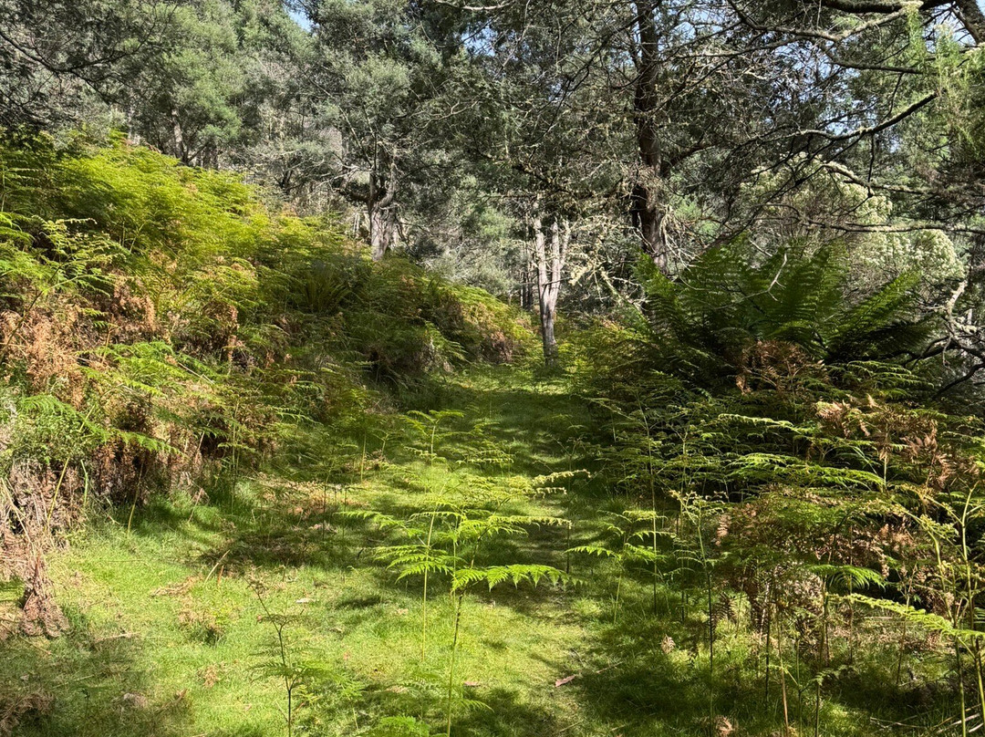 Tarraleah Cottages and Cabins主图