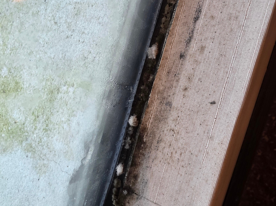 Grand Sylhet Hotel & Resort主图