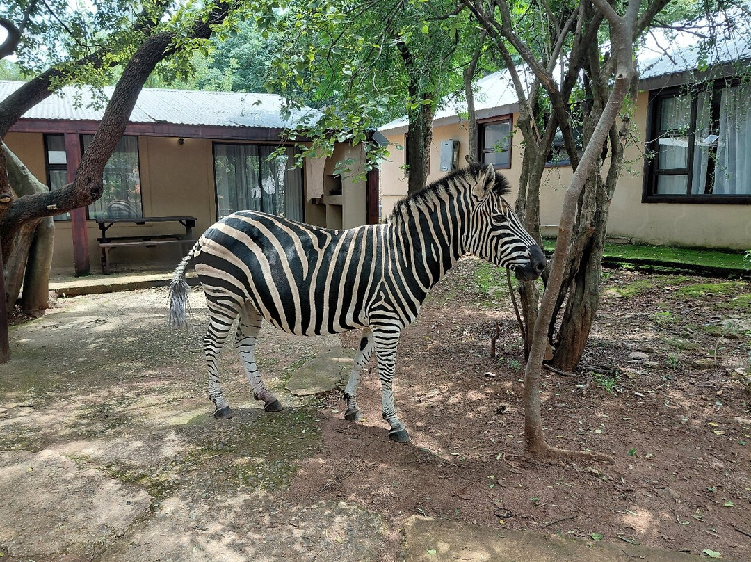 Hennops Pride Lifestyle Resort-三图里恩必去景点