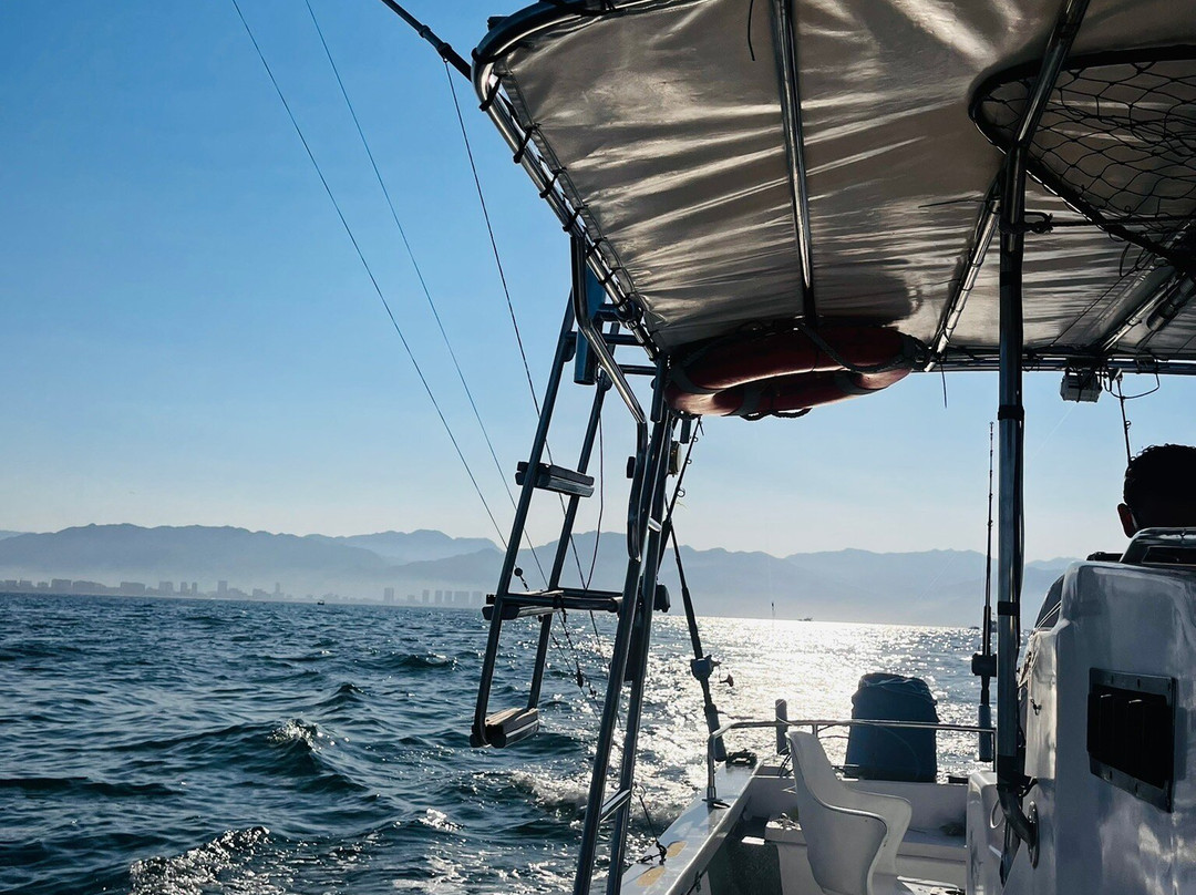 Fishing Rebels-瓦拉塔港必去景点