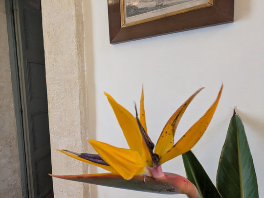 Casa Bernard-拉巴特必去景点