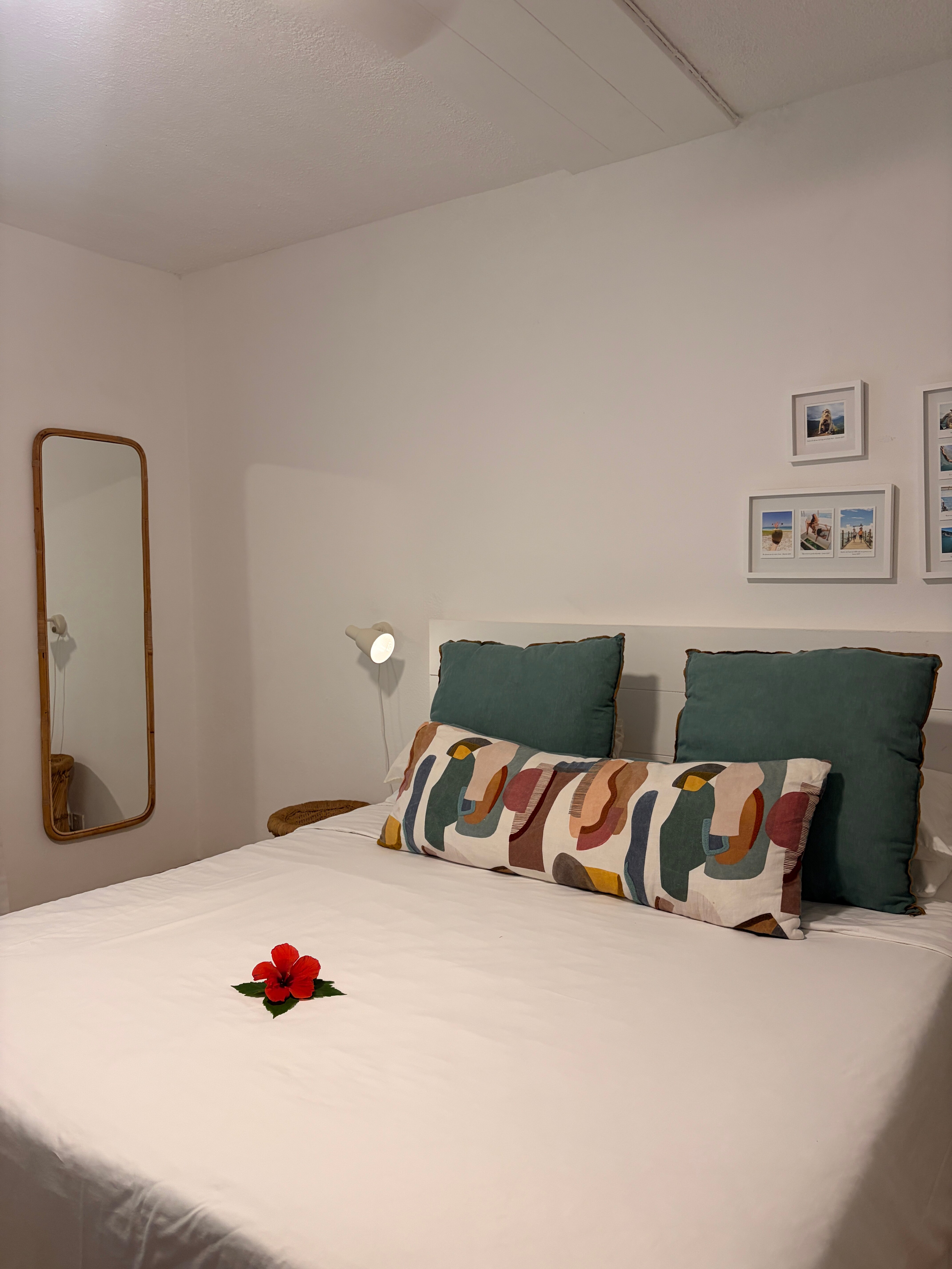 态度炮手角-官方