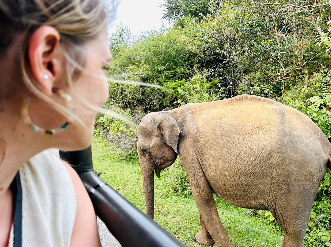 Wingsbrya Travels-Athurugiriya必去景点