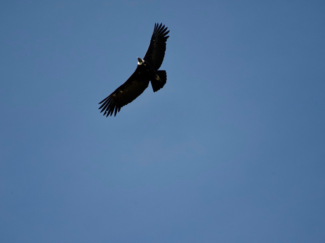 Iso100 Outdoor-Torres del Paine必去景点