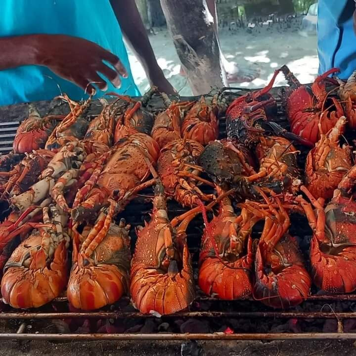 Kalu Safari Kenya-瓦塔木必去景点