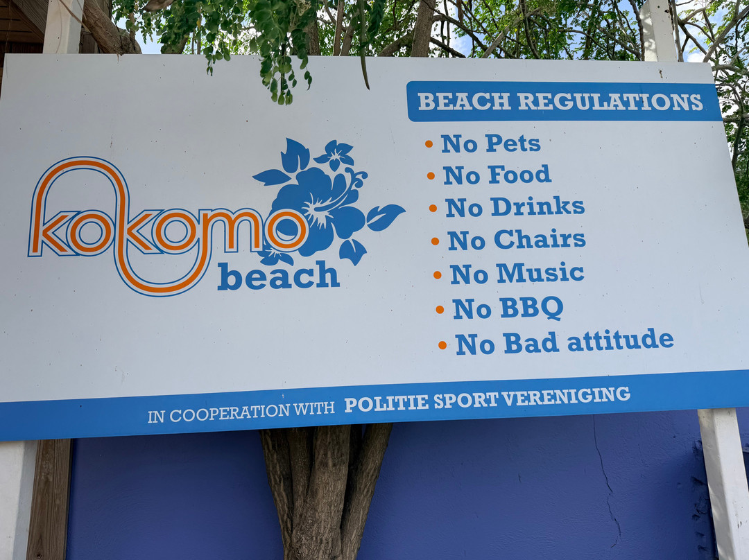 Kokomo Beach-威廉斯塔德必去景点