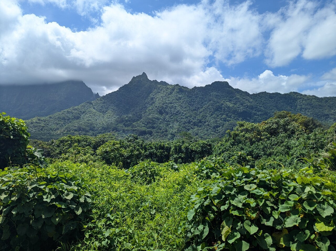Esland BIKE-Uturoa必去景点
