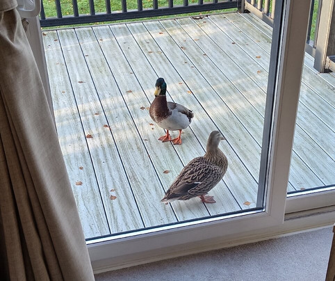 Tattershall Lakes Country Park-Tattershall必去景点
