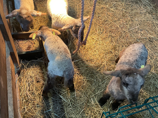 Natuurboerderij Hardebol-Landsmeer必去景点