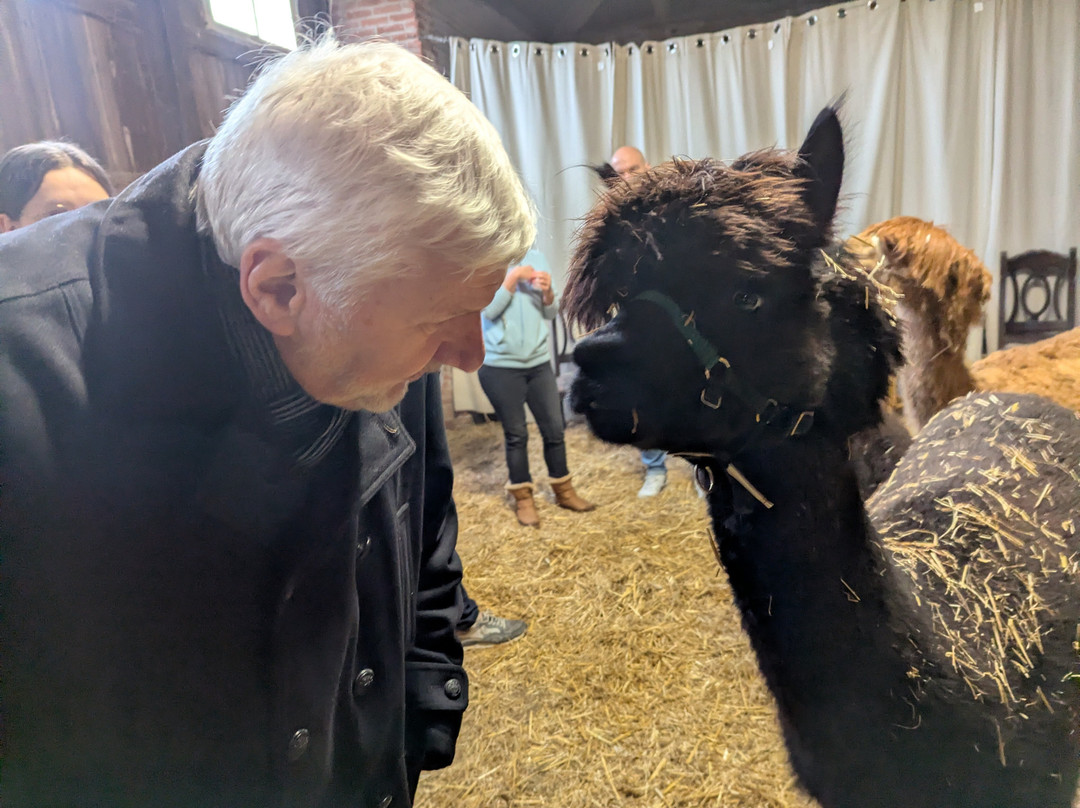 Alpacaervaringen Hoeve Larenburg