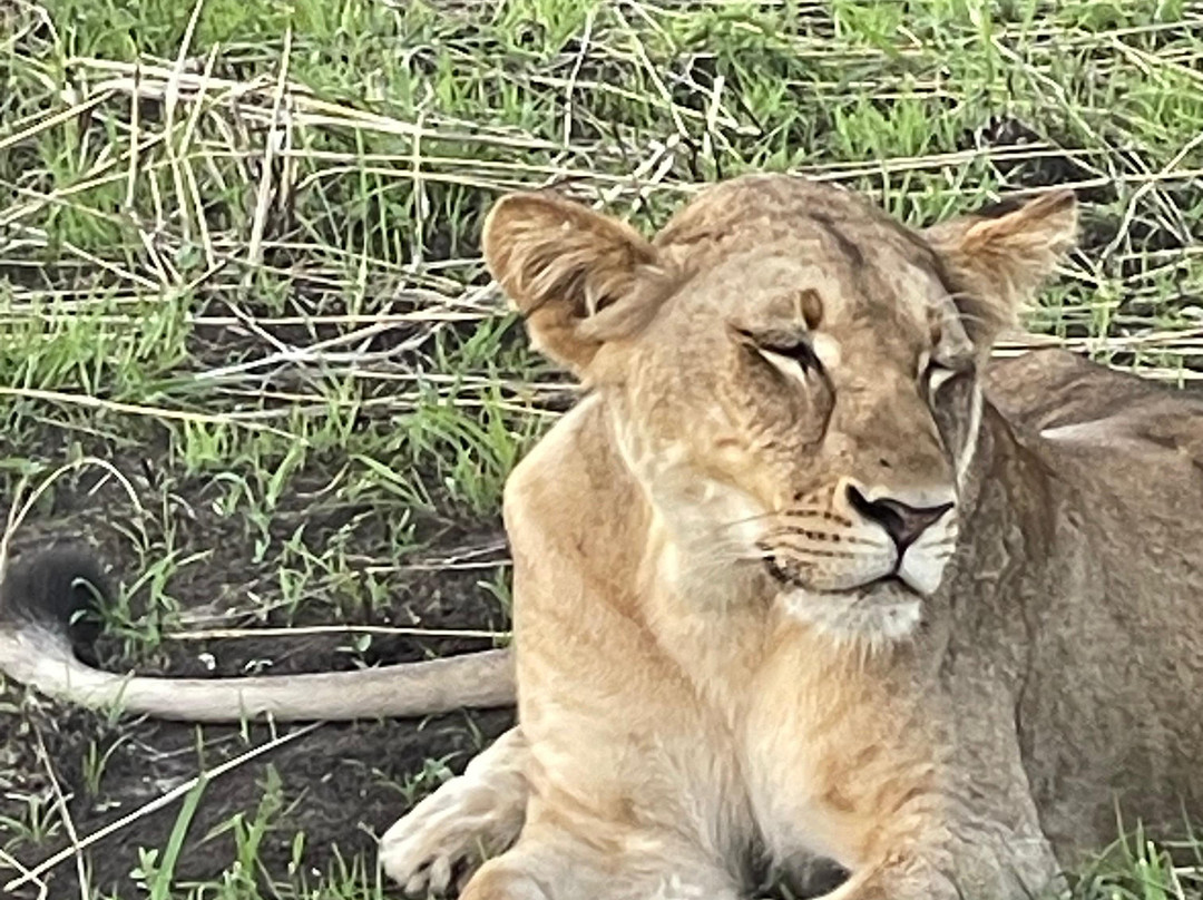 Passionate Safaris-Dar es Salaam必去景点