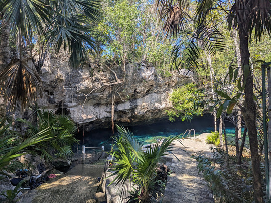 Dressel Divers Playa Del Carmen-普拉亚德尔卡曼必去景点