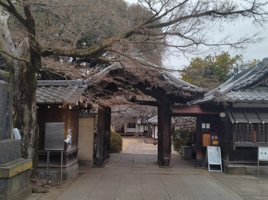 Tennoji Temple-Yanaka必去景点